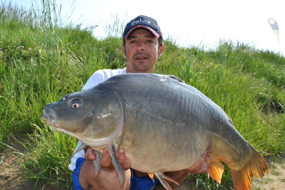 DIVERSE - andrei-vladeanu-pescuit-crap.jpg